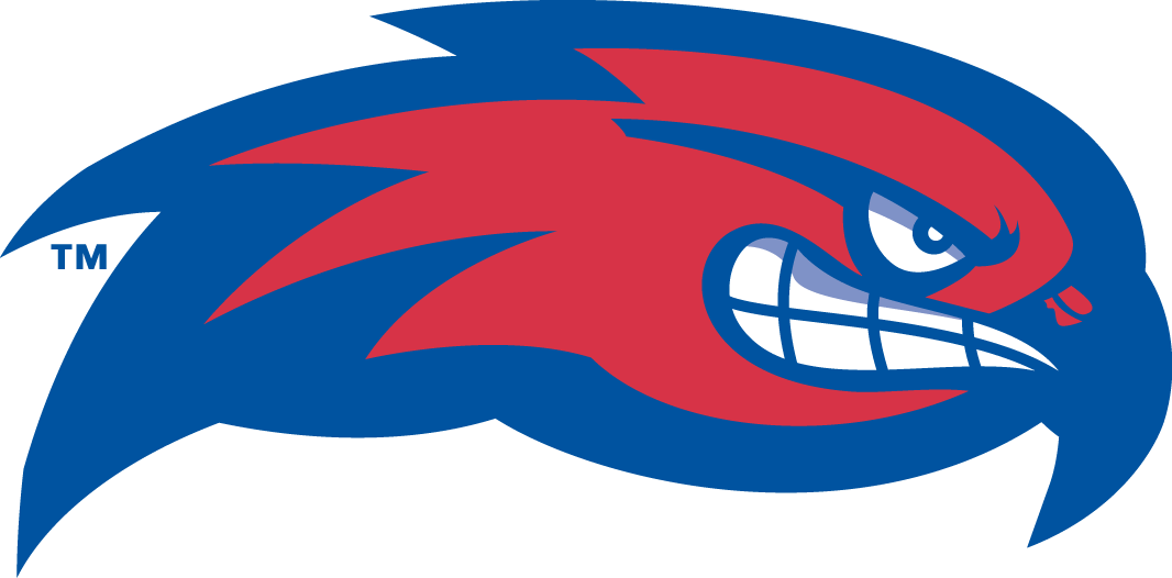 UMass Lowell River Hawks 2005-Pres Partial Logo iron on transfers for clothing